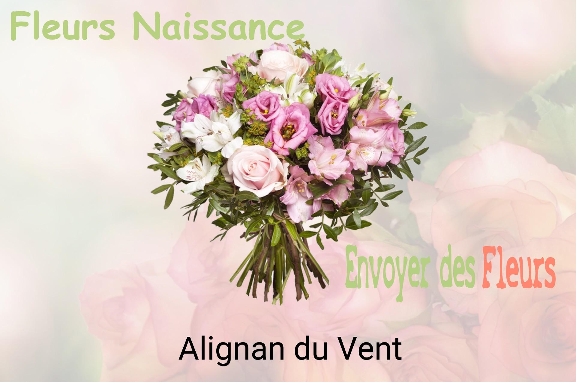 Bouquet de fleurs de naissance livré à Alignan-du-Vent