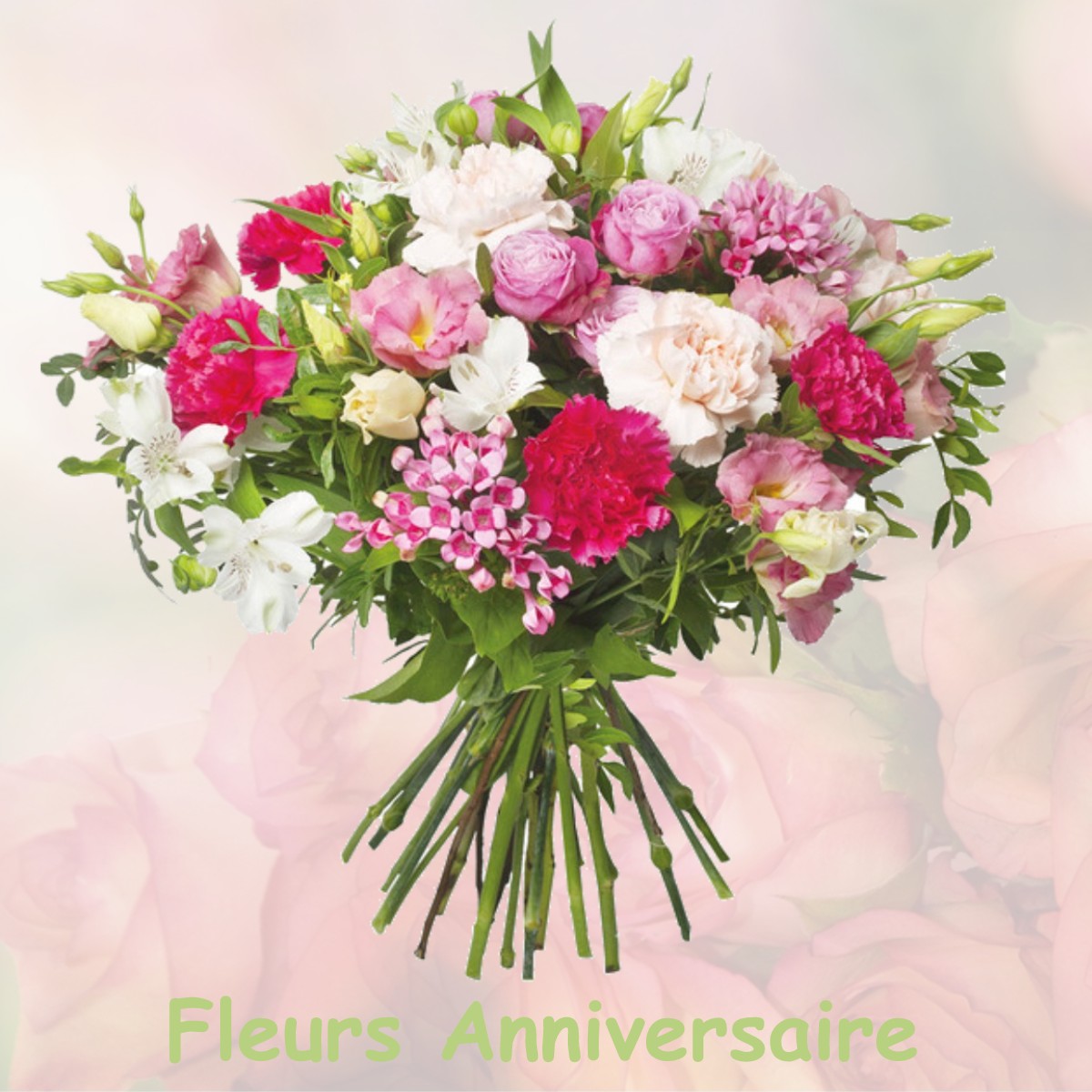 fleurs anniversaire ALIGNAN-DU-VENT